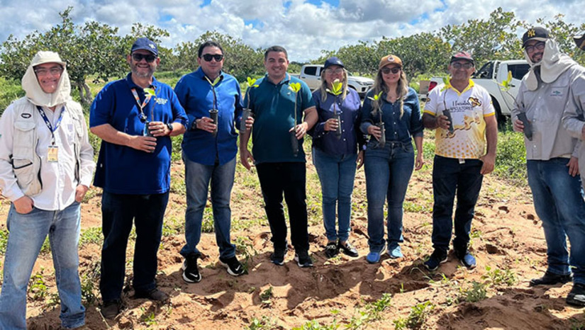 Imagem 1 - Essa colaboração estratégica visa aplicar novas tecnologias e trazer inovações diretas para o campo, beneficiando agricultores e fortalecendo a economia regional. Ao todo, serão implantadas cinco URTs na região, que funcionarão como verdadeiras "salas de aula em campo". Essas unidades servirão como vitrines para demonstrar práticas agrícolas modernas, conduzidas em colaboração com os produtores locais e sob a orientação da assistência técnica. Imagem 1 - Essa colaboração estratégica visa aplicar novas tecnologias e trazer inovações diretas para o campo, beneficiando agricultores e fortalecendo a economia regional. Ao todo, serão implantadas cinco URTs na região, que funcionarão como verdadeiras "salas de aula em campo". Essas unidades servirão como vitrines para demonstrar práticas agrícolas modernas, conduzidas em colaboração com os produtores locais e sob a orientação da assistência técnica.
