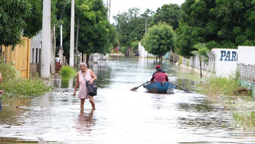 Imagem 1 - A governadora esteve na comunidade Ubarana, uma das mais afetadas após o transbordamento do açude Pataxó, e na Escola Municipal Professora Francisca da Salete Ribeiro Barreto, onde visitou as 18 famílias que deixaram suas casas após a enchente e estão abrigadas no prédio. Fatima disse que decretou situação de emergência na cidade e permanece mantendo todo contato com o Governo Federal, que já liberou recursos de mais de 400 mil reais e em breve serão liberados mais 2 milhões de reais. “Essas são as primeiras providências, porque num momento como este, o Governo Federal tem que chegar junto”, disse a Governadora. Imagem 1 - A governadora esteve na comunidade Ubarana, uma das mais afetadas após o transbordamento do açude Pataxó, e na Escola Municipal Professora Francisca da Salete Ribeiro Barreto, onde visitou as 18 famílias que deixaram suas casas após a enchente e estão abrigadas no prédio. Fatima disse que decretou situação de emergência na cidade e permanece mantendo todo contato com o Governo Federal, que já liberou recursos de mais de 400 mil reais e em breve serão liberados mais 2 milhões de reais. “Essas são as primeiras providências, porque num momento como este, o Governo Federal tem que chegar junto”, disse a Governadora.