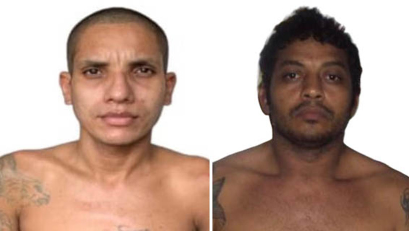 Imagem 1 - Seap inicia buscas por dois presos que fugiram do pavilhão 5 do complexo de Alcaçuz. Segundo a secretaria, a fuga foi registrada nesta terça-feira (30), na Penitenciária Estadual Rogério Coutinho Madruga, em Nísia Floresta. Os fugitivos são Gustavo da Rocha Dias, de 30 anos, e Ricardo Campelo da Silva, de 43 anos. Em nota, a Seap informou que as forças de segurança estão mobilizadas para recapturar os detentos e que já deu início à apuração das circunstâncias da fuga. Imagem 1 - Seap inicia buscas por dois presos que fugiram do pavilhão 5 do complexo de Alcaçuz. Segundo a secretaria, a fuga foi registrada nesta terça-feira (30), na Penitenciária Estadual Rogério Coutinho Madruga, em Nísia Floresta. Os fugitivos são Gustavo da Rocha Dias, de 30 anos, e Ricardo Campelo da Silva, de 43 anos. Em nota, a Seap informou que as forças de segurança estão mobilizadas para recapturar os detentos e que já deu início à apuração das circunstâncias da fuga.