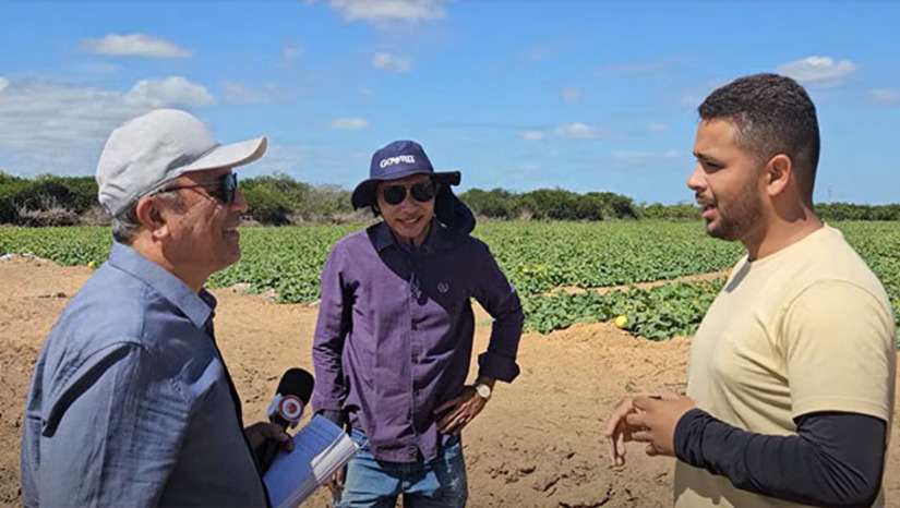 Imagem 1 -  Contaram ao Mossoró Hoje que receberam apoio técnico através do Programa Mossoró Rural/SEBRAE e, com isto, conseguiram fechar contrato com a empresa Viva, para plantar, cultivar e colher melão amarelo no lote do assentamento Oziel, na Maísa. Silas Silva e José Gledson estão muito animados com a safra e já preparam ampliação da produção. 