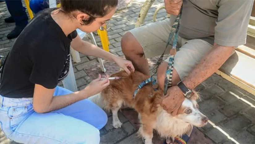 Imagem 1 -  Campanha de vacinação antirrábica segue com novos pontos extras em Mossoró. Os tutores poderão levar seus animais para se vacinar em pontos estratégicos, contemplando diversas regiões, nesta sexta-feira (16), no sábado (17) e domingo (18). A cada semana, o Centro de Controle de Zoonoses (CCZ) divulga novos pontos extras de vacinação, ampliando as possibilidades para a população imunizar seus animais.