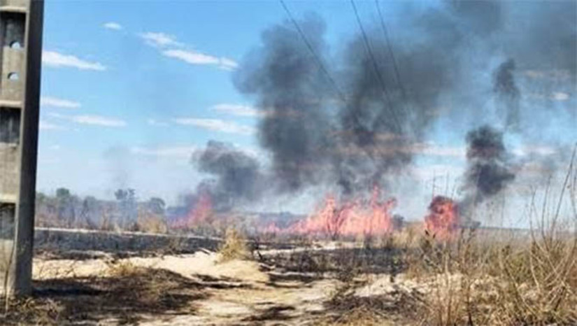 Imagem 1 - Cosern alerta para riscos relacionados a queimadas próximas à rede elétrica. Somente no final de semana passado, o Corpo de Bombeiros registrou a ocorrência de 24 incêndios florestais nas cidades de Assu, Apodi, Mossoró e Pau dos Ferros. A Neoenergia Cosern preparou um guia com orientações para evitar queimadas, que ocorrem mais comumente nos meses mais quentes do ano e com maior incidência de ventos, como agosto, às margens de rodovias, áreas rurais e canaviais. Imagem 1 - Cosern alerta para riscos relacionados a queimadas próximas à rede elétrica. Somente no final de semana passado, o Corpo de Bombeiros registrou a ocorrência de 24 incêndios florestais nas cidades de Assu, Apodi, Mossoró e Pau dos Ferros. A Neoenergia Cosern preparou um guia com orientações para evitar queimadas, que ocorrem mais comumente nos meses mais quentes do ano e com maior incidência de ventos, como agosto, às margens de rodovias, áreas rurais e canaviais.
