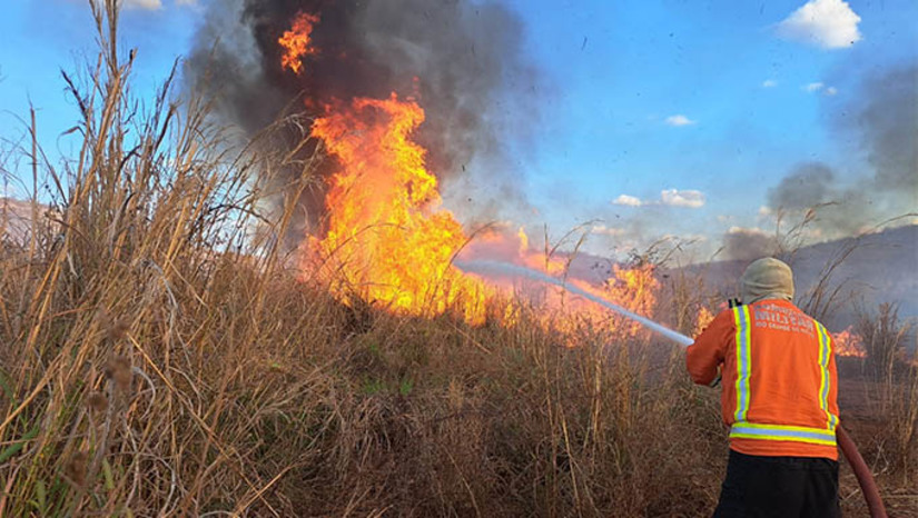 Imagem 1 -  Bombeiros registram aumento de 109% nos incêndios em vegetação em julho e agosto de 2024 no RN. O dado é referente a comparação com o mesmo período de 2023. No ano, em 2023 o total de atendimentos relacionados a incêndios em vegetação foi de 515. Já em 2024, até o momento, já foram registrados 507 atendimentos. O aumento abrupto durante os últimos dois meses ressalta a necessidade de atenção redobrada por parte da população.