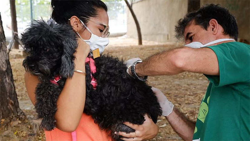 Imagem 1 - Dia D de vacinação antirrábica acontecerá neste sábado (31), em Mossoró. A oferta dos imunizantes aos animais acontecerá em pontos estratégicos, em todas as regiões da cidade, das 8h às 17h. Ao todo, a Prefeitura Municipal de Mossoró colocará em funcionamento 24 pontos de imunização para cães e gatos, uma oportunidade extra para os tutores que ainda não levaram seus animais para serem imunizados contra a doença, que pode ser letal em humanos; confira os locais. Imagem 1 - Dia D de vacinação antirrábica acontecerá neste sábado (31), em Mossoró. A oferta dos imunizantes aos animais acontecerá em pontos estratégicos, em todas as regiões da cidade, das 8h às 17h. Ao todo, a Prefeitura Municipal de Mossoró colocará em funcionamento 24 pontos de imunização para cães e gatos, uma oportunidade extra para os tutores que ainda não levaram seus animais para serem imunizados contra a doença, que pode ser letal em humanos; confira os locais.