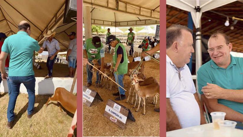 Imagem 1 - A II Exposição Agropecuária de Umarizal, que começou nesta sexta-feira, 30, segue até este domingo, dia 10 de setembro de 2024, reunindo produtores rurais de Umarizal e várias outras cidades próximas, no Parque de Exposição de Umarizal. O prefeito Raimundo Pezão rececionou os produtores rurais e também as autoridades pessoalmente. Imagem 1 - A II Exposição Agropecuária de Umarizal, que começou nesta sexta-feira, 30, segue até este domingo, dia 10 de setembro de 2024, reunindo produtores rurais de Umarizal e várias outras cidades próximas, no Parque de Exposição de Umarizal. O prefeito Raimundo Pezão rececionou os produtores rurais e também as autoridades pessoalmente.