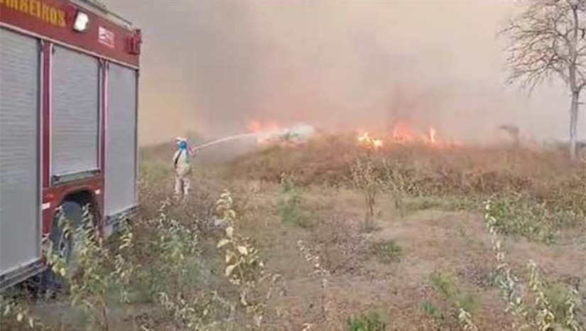 Imagem 1 -  Combate a incêndio no município de Apodi durou mais de sete horas. O trabalho foi iniciado às 13h desta segunda-feira (9), tendo o incêndio na vegetação, localizada às margens do KM 58 da BR-405, sido controlado apenas durante à noite, sem registro de vítimas. A guarnição do corpo de bombeiros contou com a ajuda de populares, que auxiliaram os militares no combate às chamas. Este foi o segundo incêndio de grandes proporções registrado no município apenas neste mês de setembro. O primeiro aconteceu no dia 2, no sítio Lagoa do Mato, e demorou 6 horas para que as chamas fossem debeladas.