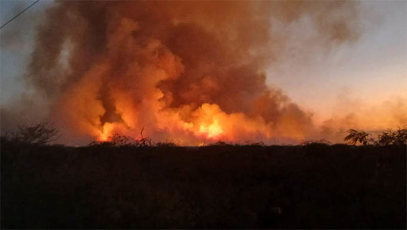 Imagem 1 - Após chamas reacenderam, combate a incêndio em mata de Apodi já dura cerca de 72h. Os bombeiros conseguiram controlar as chamas na noite da segunda-feira (9), após mais de 24h de trabalho intenso, restando apenas a realização do rescaldo. Porém as chamas reacenderam nesta terça-feira (10) e perduram até a manhã desta quarta-feira (11). Ao todo, já são cerca 72h de combate ao fogo, que tem sido impulsionado pelos fortes ventos e pela vegetação seca, fazendo com que as chamadas se alastram com velocidade. Imagem 1 - Após chamas reacenderam, combate a incêndio em mata de Apodi já dura cerca de 72h. Os bombeiros conseguiram controlar as chamas na noite da segunda-feira (9), após mais de 24h de trabalho intenso, restando apenas a realização do rescaldo. Porém as chamas reacenderam nesta terça-feira (10) e perduram até a manhã desta quarta-feira (11). Ao todo, já são cerca 72h de combate ao fogo, que tem sido impulsionado pelos fortes ventos e pela vegetação seca, fazendo com que as chamadas se alastram com velocidade.