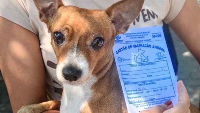 Imagem 1 -  A Coordenação de Saúde e Bem-estar Animal orienta que a vacina é voltada para cães e gatos a partir dos três meses, inclusive aqueles que já foram vacinados no ano passado. A vacinação acontecerá das 8h às 12h, nos seguintes locais: - Igreja de São Manoel - Alto de São Manoel; - Em frente ao Supermercado Rede 10 - Alto do Sumaré; - Praça Freitas Nobre - Barrocas; - Comércio do Baixinho, na rua José Luiz Queiroz, 651 - Santa Helena; - Estacionamento Farmácia Betel, avenida Abel Coelho, 169 - Abolição II; - Ao lado da Igreja Cristã Evangélica - Cidade Oeste; - UEI Maria Eva Dantas - Aeroporto.