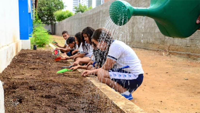 Imagem 1 - Alunos de escola de tempo integral de Mossoró participam de projeto sustentável de cultivo de hortaliças. O projeto, iniciado no dia 17 deste mês, é coordenado pelo professor Júlio Ulisses. Ele explica que antes do cultivo na escola, os alunos puderam conhecer de perto o Setor de Produção de Mudas da Universidade Federal Rural do Semi-Árido (Ufersa), uma experiência, segundo o docente, muito positiva. “O objetivo é manter a alimentação saudável de todos os alunos. Além disso, vamos trabalhar de forma interdisciplinar, abordando o empreendedorismo, com a venda da produção excedente”, explica o professor Imagem 1 - Alunos de escola de tempo integral de Mossoró participam de projeto sustentável de cultivo de hortaliças. O projeto, iniciado no dia 17 deste mês, é coordenado pelo professor Júlio Ulisses. Ele explica que antes do cultivo na escola, os alunos puderam conhecer de perto o Setor de Produção de Mudas da Universidade Federal Rural do Semi-Árido (Ufersa), uma experiência, segundo o docente, muito positiva. “O objetivo é manter a alimentação saudável de todos os alunos. Além disso, vamos trabalhar de forma interdisciplinar, abordando o empreendedorismo, com a venda da produção excedente”, explica o professor