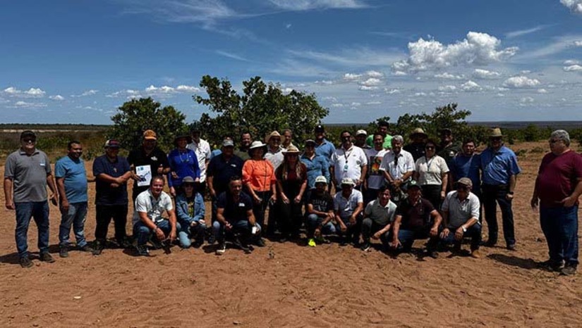 Imagem 1 -  Comitiva de produtores de castanha de caju de vários estados brasileiros, acompanhados com representes de governos e instituições de apoio e consultoria, conheceram neste dia 31 de outubro de 2024, as técnicas usadas pelos colonos da Serra do Mel-RN na produção de castanha de caju, considerado patrimônio imaterial do Rio Grande do Norte
