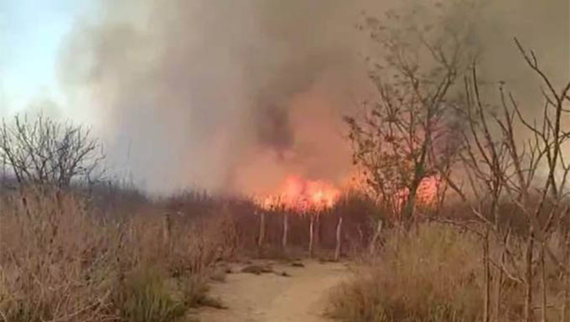Imagem 1 -  Mais um grande incêndio na zona rural de Apodi deixa vários animais mortos. O incêndio foi registrado em região de mata, entre os Assentamentos Paulo Canapum, Caiçara, Tabuleiro e Sítio do Góis. Em contato com a reportagem do MOSSORÓ HOJE, Paulo Tavares, cujos pais moram na região, contou que o fogo já vem destruindo a região há cerca de 3 dias, mas que nesta terça-feira (24), a guarnição do Corpo de Bombeiros de Apodi conseguiu controlar as chamas.