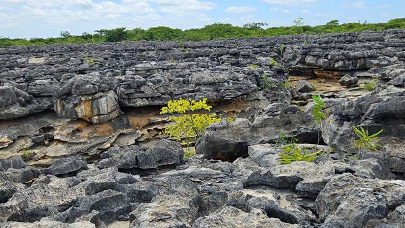 Imagem 1 - A comunidade de Soledade já tem até museu com peças do lajedo. O primeiro guia turístico do local, Adailton Targino, observa, no entanto, que o local precisa de mais investimento, para melhorar, principalmente, o acesso. Enfatiza, entretanto, que o Lajedo e o Museu de Soledade estão entre os principais pontos turísticos da região Oeste do Rio Grande do Norte, somando com a Casa de Pedra de Martins; as Cachoeiras e cavernas de Felipe Guerra; e Furna Feia, de Mossoró. Ex-prefeito Alan Silveira e o prefeito Luis Sabino festejam o reconhecimento. Imagem 1 - A comunidade de Soledade já tem até museu com peças do lajedo. O primeiro guia turístico do local, Adailton Targino, observa, no entanto, que o local precisa de mais investimento, para melhorar, principalmente, o acesso. Enfatiza, entretanto, que o Lajedo e o Museu de Soledade estão entre os principais pontos turísticos da região Oeste do Rio Grande do Norte, somando com a Casa de Pedra de Martins; as Cachoeiras e cavernas de Felipe Guerra; e Furna Feia, de Mossoró. Ex-prefeito Alan Silveira e o prefeito Luis Sabino festejam o reconhecimento.