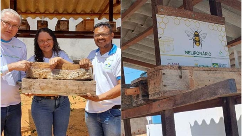 Imagem 1 - O projeto O Vale Sustentável doou 75 colmeias e abelhas da espécie Jandaíra - nativa do Bioma Caatinga para implantação da meliponicultura na região do Vale do Açu e realizou a formação dos novos meliponicultores, um investimento de R$ 28.750,00. Durante esse período as famílias residentes nos cinco assentamentos beneficiados multiplicaram 87 colmeias e através da assistência técnica adquiriram mais 115, em média, o litro de mel é comercializado a R$ 300 nas feiras e mercados locais. Imagem 1 - O projeto O Vale Sustentável doou 75 colmeias e abelhas da espécie Jandaíra - nativa do Bioma Caatinga para implantação da meliponicultura na região do Vale do Açu e realizou a formação dos novos meliponicultores, um investimento de R$ 28.750,00. Durante esse período as famílias residentes nos cinco assentamentos beneficiados multiplicaram 87 colmeias e através da assistência técnica adquiriram mais 115, em média, o litro de mel é comercializado a R$ 300 nas feiras e mercados locais.