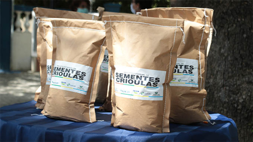 Imagem 1 - Governo entrega 34 toneladas de sementes crioulas no Rio Grande do Norte nesta quinta, 27. A ação faz parte do Programa de Aquisição de Alimentos (PAA) – Modalidade Sementes, promovido pela Conab, cujo objetivo é fortalecer a agricultura familiar. O programa adquire sementes de agricultores familiares e as destina a outras famílias produtoras em situação de vulnerabilidade social, promovendo, assim, segurança alimentar, sustentabilidade da produção agrícola e a preservação das variedades dessas “sementes da tradição”. Imagem 1 - Governo entrega 34 toneladas de sementes crioulas no Rio Grande do Norte nesta quinta, 27. A ação faz parte do Programa de Aquisição de Alimentos (PAA) – Modalidade Sementes, promovido pela Conab, cujo objetivo é fortalecer a agricultura familiar. O programa adquire sementes de agricultores familiares e as destina a outras famílias produtoras em situação de vulnerabilidade social, promovendo, assim, segurança alimentar, sustentabilidade da produção agrícola e a preservação das variedades dessas “sementes da tradição”.