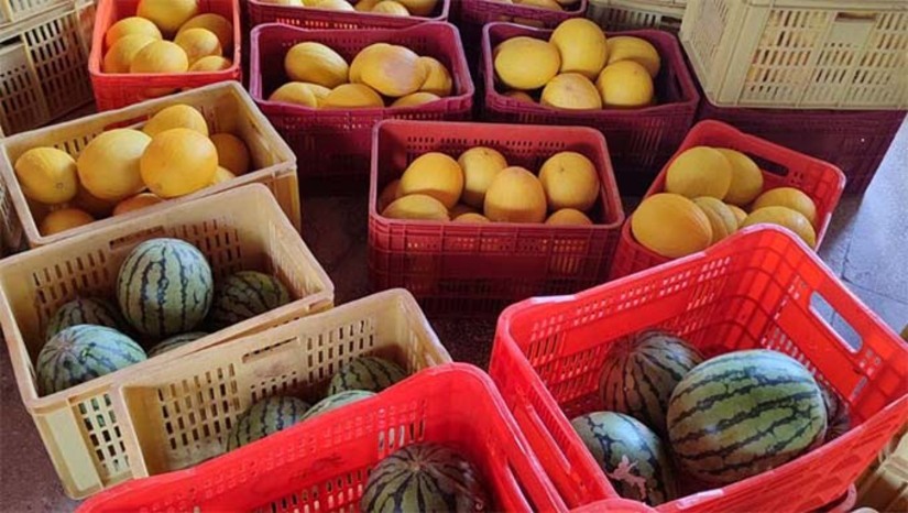 Imagem 1 - O programa “Compra Direta” iniciou a etapa 2025 nesta terça-feira (29) com a entrega de mais de 4,8 toneladas de alimentos da agricultura familiar para instituições socioassistenciais de Mossoró. Coordenado pela EMATER-RN em parceria com governos federal, estadual e municipal, o programa beneficia cerca de 3 mil famílias e envolve 40 agricultores locais. Nesta fase, estão sendo investidos R$ 90 mil. Os produtos, incluindo melão, banana, polpas e doces, são distribuídos com apoio da Prefeitura, SEMASC e SEADRU. As próximas entregas estão previstas para os dias 6 e 13 de maio. Imagem 1 - O programa “Compra Direta” iniciou a etapa 2025 nesta terça-feira (29) com a entrega de mais de 4,8 toneladas de alimentos da agricultura familiar para instituições socioassistenciais de Mossoró. Coordenado pela EMATER-RN em parceria com governos federal, estadual e municipal, o programa beneficia cerca de 3 mil famílias e envolve 40 agricultores locais. Nesta fase, estão sendo investidos R$ 90 mil. Os produtos, incluindo melão, banana, polpas e doces, são distribuídos com apoio da Prefeitura, SEMASC e SEADRU. As próximas entregas estão previstas para os dias 6 e 13 de maio.