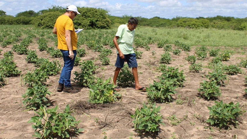 Imagem 1 - O meteorologista da Secretaria de Agricultura e Desenvolvimento Rural da Prefeitura de Mossoró-RN (SEADRU), Aciomar Lopes, monitora a variação pluviométrica em mais 120 comunidades rurais e atestou a redução bruscas nas chuvas em abril. Diante do quadro, o engenheiro-agrônomo Edmar Teixeira, também a SEADRU, já iniciou o trabalho junto aos pequenos agricultores, para incluí-los no programa Garantia Safra, do Governo Federal 2025. Imagem 1 - O meteorologista da Secretaria de Agricultura e Desenvolvimento Rural da Prefeitura de Mossoró-RN (SEADRU), Aciomar Lopes, monitora a variação pluviométrica em mais 120 comunidades rurais e atestou a redução bruscas nas chuvas em abril. Diante do quadro, o engenheiro-agrônomo Edmar Teixeira, também a SEADRU, já iniciou o trabalho junto aos pequenos agricultores, para incluí-los no programa Garantia Safra, do Governo Federal 2025.