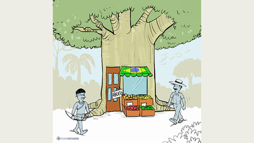 Imagem 1 -  A Agência Brasileira de Desenvolvimento Industrial, em parceria com o Instituto de Pesquisa Ambiental da Amazônia, realiza mapeamento inédito da bioindústria na Amazônia Legal. O levantamento já identificou cerca de 11 mil empreendimentos associados à sociobiodiversidade na região. Desses, quase 6 mil são considerados bioindústrias.