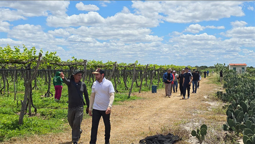  Os produtores do Pará demonstraram grande interesse em aplicar as tecnologias vistas no Rio Grande do Norte em suas regiões, como o uso de drones para pulverização e o sistema de filtragens para o plantio de novas culturas como mamão e acerola. "A troca de experiências permitiu identificar técnicas de manejo, estratégias de produtividade e soluções adaptadas às condições climáticas e de mercado", explicou Kling Simões.