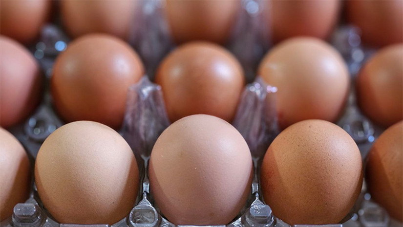   Produção de leite e ovos de galinha cresce no RN em 2024. O município de Caicó, na microrregião Seridó, continua sendo o maior produtor de leite do estado. No ano passado, foram 41 milhões de litros produzidos no município, um aumento de 20,53% em comparação com 2023. A produção de ovos de galinhas registrou um crescimento mais expressivo, de 10,61%, chegando ao total de 93 milhões de dúzias de ovos produzidos no RN no ano passado. O aumento foi ainda maior em valor de produção, que cresceu 29,64% em 2024 na comparação com o ano anterior, em termos nominais.