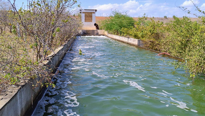 Imagem 1 - O IGARN publicou nesta terça-feira (23) portaria que declara situação de escassez hídrica no Canal do Pataxó e no trecho perenizado do Rio Pataxó, em razão da seca que atinge 83% do RN e da redução na vazão da Barragem Armando Ribeiro Gonçalves. A medida estabelece regras de uso da água, como dias alternados para irrigação em cada margem e proibição de abastecer açudes, lagoas ou barreiros. Uma reunião no dia 16 de outubro avaliará a efetividade das ações. Imagem 1 - O IGARN publicou nesta terça-feira (23) portaria que declara situação de escassez hídrica no Canal do Pataxó e no trecho perenizado do Rio Pataxó, em razão da seca que atinge 83% do RN e da redução na vazão da Barragem Armando Ribeiro Gonçalves. A medida estabelece regras de uso da água, como dias alternados para irrigação em cada margem e proibição de abastecer açudes, lagoas ou barreiros. Uma reunião no dia 16 de outubro avaliará a efetividade das ações.