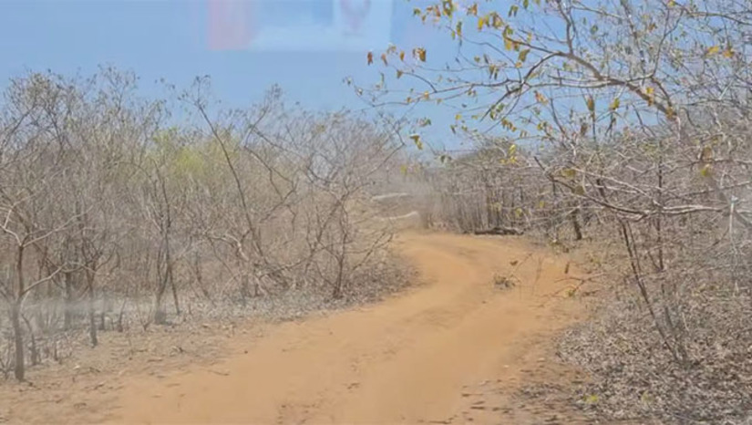 Imagem 1 -  Um diagnóstico apresentado nos seminários de atualização do Plano Estadual de Combate à Desertificação revelou que 96,7% do território do Rio Grande do Norte é suscetível à desertificação, com maior vulnerabilidade nas regiões do Seridó, Alto Oeste e Sertão Central. O evento aconteceu nos municípios de Currais Novos e Pau dos Ferros. Entre as prioridades discutidas estiveram os impactos da mineração, a gestão hídrica, apoio à agricultura familiar, assistência técnica e recuperação de áreas degradadas. Para a Sudene, a integração entre governo, sociedade civil e pesquisa é essencial para transformar diagnósticos em ações efetivas no semiárido. 
