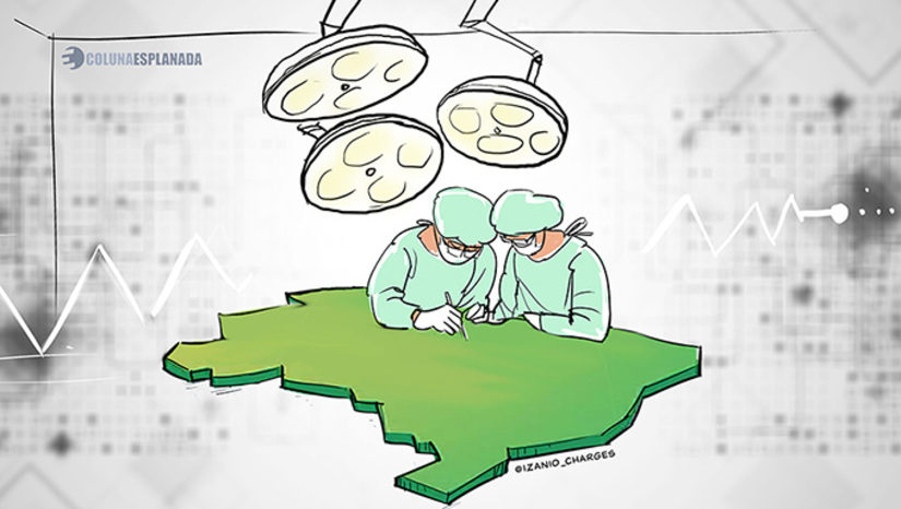   Entre os principais tipos de procedimentos estão as seguintes cirurgias: 358.629 cirurgias de cataratas, 307.345 reconstruções das mamas após retirada do câncer, 28.329 reconstituições de lábio leporino, 23.857 gigantomastia (redução das mamas), 19.172 otoplastias (correção do tamanho/formato das orelhas) e 925 abdominoplastias reparadora (remoção de excesso de pele pós bariátrica).