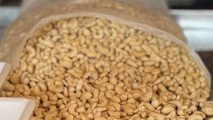 Imagem 1 -  A conquista é resultado de uma jornada iniciada há quatro anos, marcada por união, técnica, persistência e pelo compromisso de proteger aquilo que é genuinamente serra-melense. Desde o início, a parceria entre o Sebrae e a Prefeitura de Serra do Mel foi decisiva para impulsionar o processo e garantir sua execução responsável e estratégica. Com a IG, o produto terá mais competitividade, proteção, valorização econômica e ampliação de oportunidades para quem vive e produz no município.