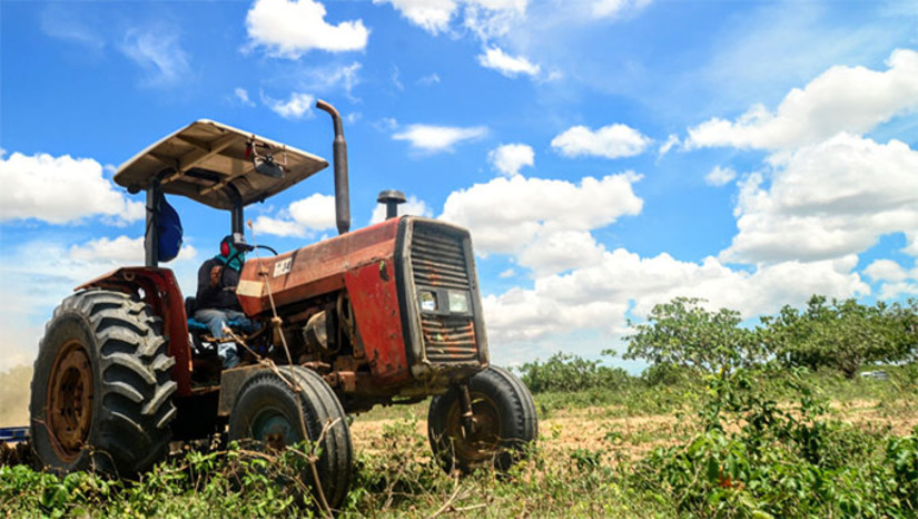    O evento de lançamento do Programa Semear ocorrerá no Parque de Exposições Armando Buá, a partir das 8h30. O programa fornece aos pequenos agricultores familiares cadastrados, óleo diesel para o corte de terra na época do período chuvoso em Mossoró.  Os agricultores cadastrados recebem ordens de entrega do óleo diesel, com prazos definidos para retirada e comprovação do corte de terra. No ano passado, mais de 4,3 mil agricultores foram beneficiados com o programa.