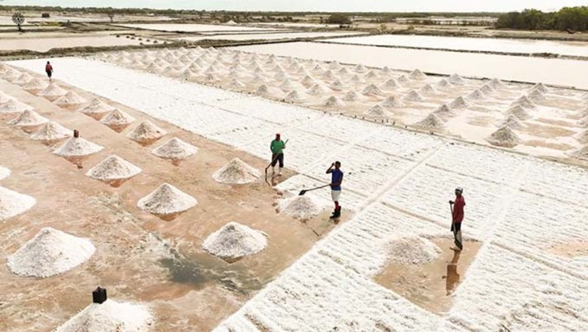   A Prefeitura de Grossos, em parceria com a Ecosafety Consultoria e o Sebrae, concluiu um projeto de licenciamento ambiental para produtores de sal do município, resultando na emissão de mais de 50 licenças ambientais. A ação contou com o apoio da Secretaria de Desenvolvimento e Meio Ambiente, responsável pelas Certidões de Uso e Ocupação de Solo, que já emitiu mais de 100 declarações desde 2025, agilizando a regularização.