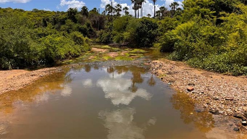   Produtores rurais de Felipe Guerra e de Governador Dix-Sept Rosado relatam que na última sexta-feira (06), parte do volume de água que chegava a estas regiões através da abertura das comportas da Barragem de Santa Cruz, em Apodi-RN, reduzirazm drásticamente após um barramento feito perto de Apodi (Barragem de Vandinho), para desviar o fluxo de água para dentro da Lagoa do Apodi. Os agricultores afirmam que a quantidade é muito poucoa e, portanto, insuficiente, para irrigar às lavouras. Cobram providências das autoridades para garantir a normalização do fluxo de água no leito do rio.