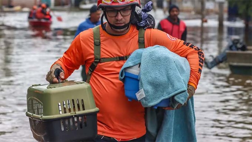   O presidente Luiz Inácio Lula da Silva sancionou a Lei nº 15.355/2026, que cria a Política de Acolhimento e Manejo de Animais Resgatados (Amar). A medida estabelece ações para proteger, resgatar e acolher animais domésticos e silvestres afetados por emergências, acidentes e desastres. A lei também define responsabilidades do poder público, empresas e sociedade, além de buscar reduzir a morte de animais, integrar políticas ambientais e orientar a população sobre a proteção dos animais nessas situações, mantendo a prioridade no salvamento de vidas humanas.