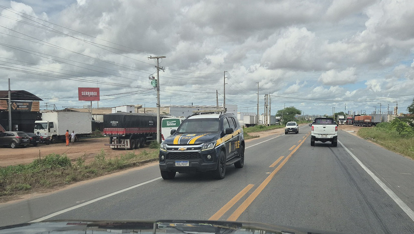 Imagem 1 - A "Operação Boiadeiro", parceria entre PRF e Prefeitura de Mossoró, recolhe continuamente animais soltos em rodovias para evitar acidentes graves. Os proprietários negligentes serão identificados e responsabilizados legalmente. Os bichos apreendidos vão para uma associação em Apodi e podem ser leiloados se não forem resgatados. Em caso de perigo nas pistas, os motoristas devem acionar imediatamente o telefone 191. Imagem 1 - A "Operação Boiadeiro", parceria entre PRF e Prefeitura de Mossoró, recolhe continuamente animais soltos em rodovias para evitar acidentes graves. Os proprietários negligentes serão identificados e responsabilizados legalmente. Os bichos apreendidos vão para uma associação em Apodi e podem ser leiloados se não forem resgatados. Em caso de perigo nas pistas, os motoristas devem acionar imediatamente o telefone 191.