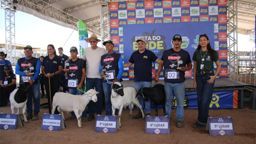   Último dia da programação reuniu julgamento exclusivo de ovinos e caprinos locais, celebrando recorde de participação, qualidade genética e fortalecimento do setor no município. O secretário municipal de Agricultura e Desenvolvimento Rural, Faviano Moreira, destaca que é "“É um momento de gratidão por termos conseguido entregar um belo evento, com premiação histórica e recorde de participação de animais. Mas, sobretudo, pela satisfação do produtor, do visitante e pelo orgulho de fazer parte desta edição”, destacou.