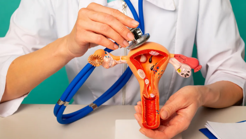   O teste molecular identifica a presença do papilomavírus humano (HPV), incluindo os tipos 16 e 18, associados a maior risco de desenvolvimento da doença, permitindo o acompanhamento adequado e o encaminhamento oportuno das pacientes para investigação e cuidado. Em todo o Brasil, a estratégia já contabiliza 153 mil amostras coletadas em 2025 e 2026. Desse total, 93 mil foram processadas em 2026, ou seja, já passaram por análise laboratorial. Dessas, 9.904 apresentaram resultado positivo para HPV de alto risco.
